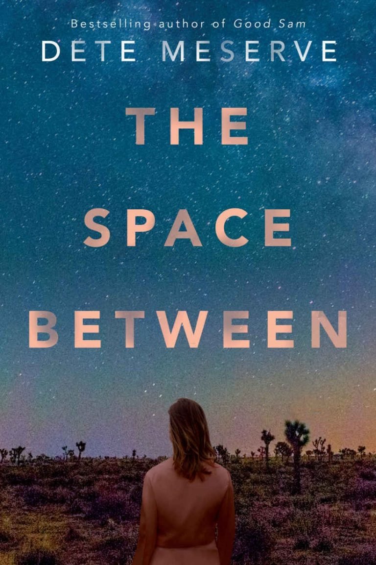 The Space Between book cover