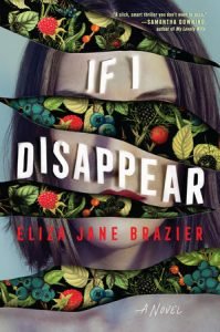 If I Disappear book cover