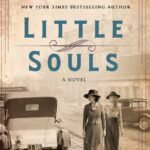 Little Souls book cover