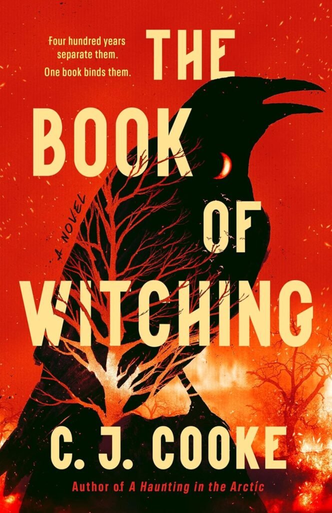 The Book of Witching book cover