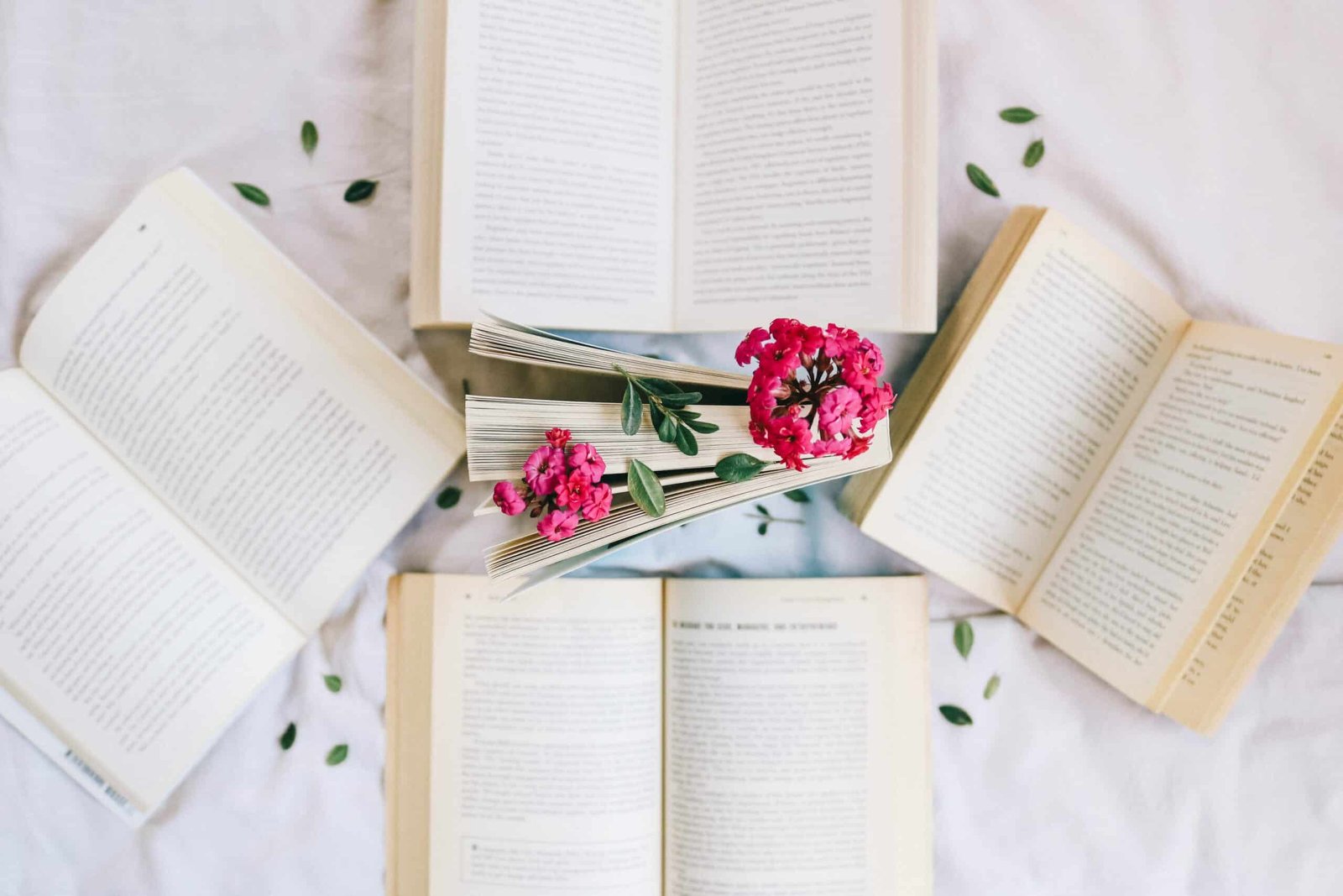 books Photo by Dalia Khalifa scaled