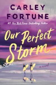 50+ Best Upcoming Book Releases Worth the Read in 2026 Our Perfect Storm book cover