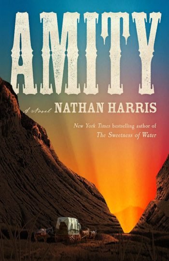 Amity book cover