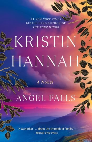 Angel Falls book cover