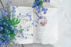 Books - Photo by Nika Benedictova