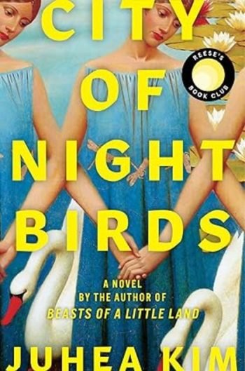 City of Night Birds book cover