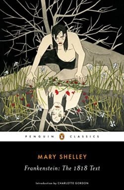 Frankenstein book cover