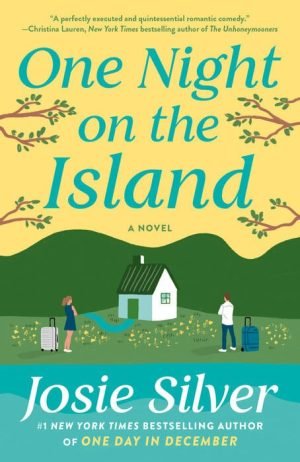 One Night on the Island book cover