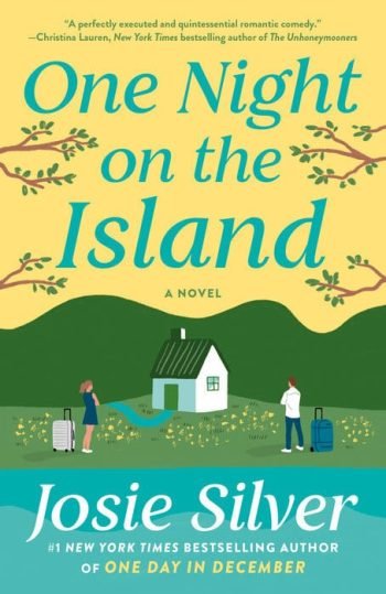 One Night on the Island book cover