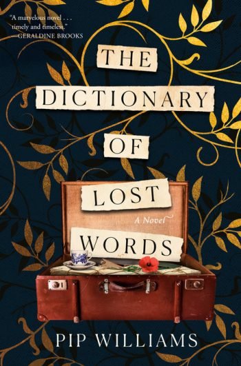 The-Dictionary-of-Lost-Words book cover