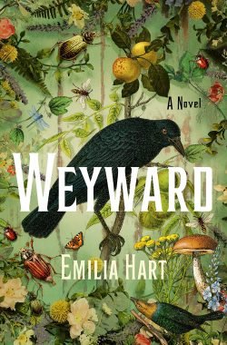 Weyward book cover